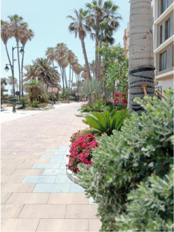 Beach Side Apartment -エステポナ エクステリア 写真